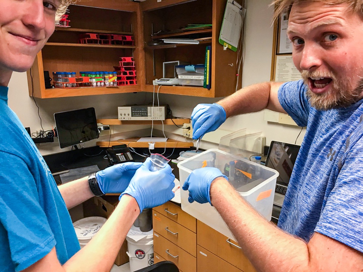 two white men wearing blue gloves grin into the camera while holding bits of twigs