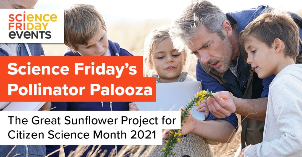 a middle aged man holds a yellow desert flower for a group of young children, who all inspect the flower closely; over the image reads the words "science friday's pollinator palooza, the great sunflower project for citizen science month"