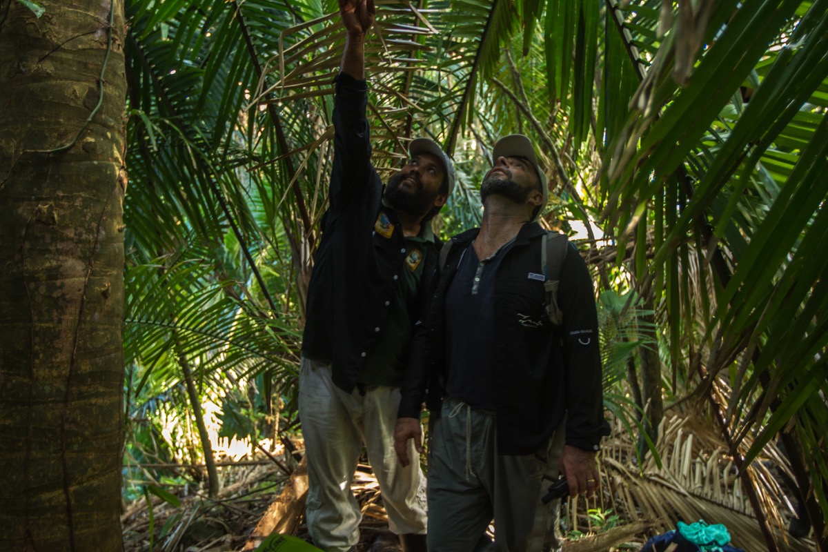 two male researchers wearing hiking gear in a jungle environment