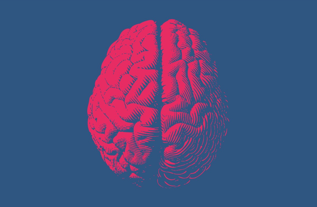 Red engraving brain illustration in top view isolated on blue background