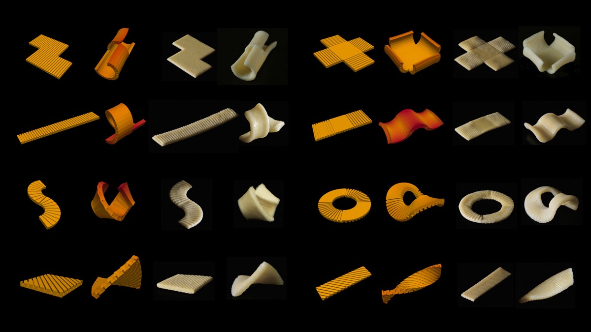 a bunch of different pastas in various shapes with 3d models of them next to it