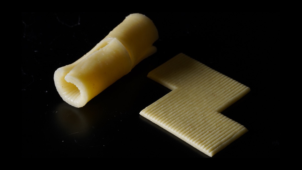 two pieces of pasta side by side. on the right is a zigzag block flat pasta shape, on the left is that pasta shown curled up in a tube shape after boiling