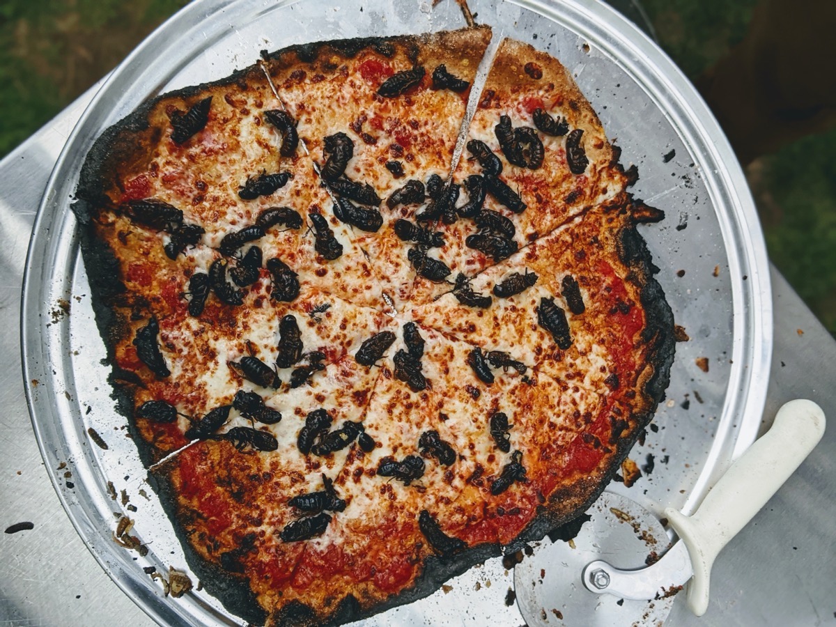 a crispy pizza with cheese topped with cicadas