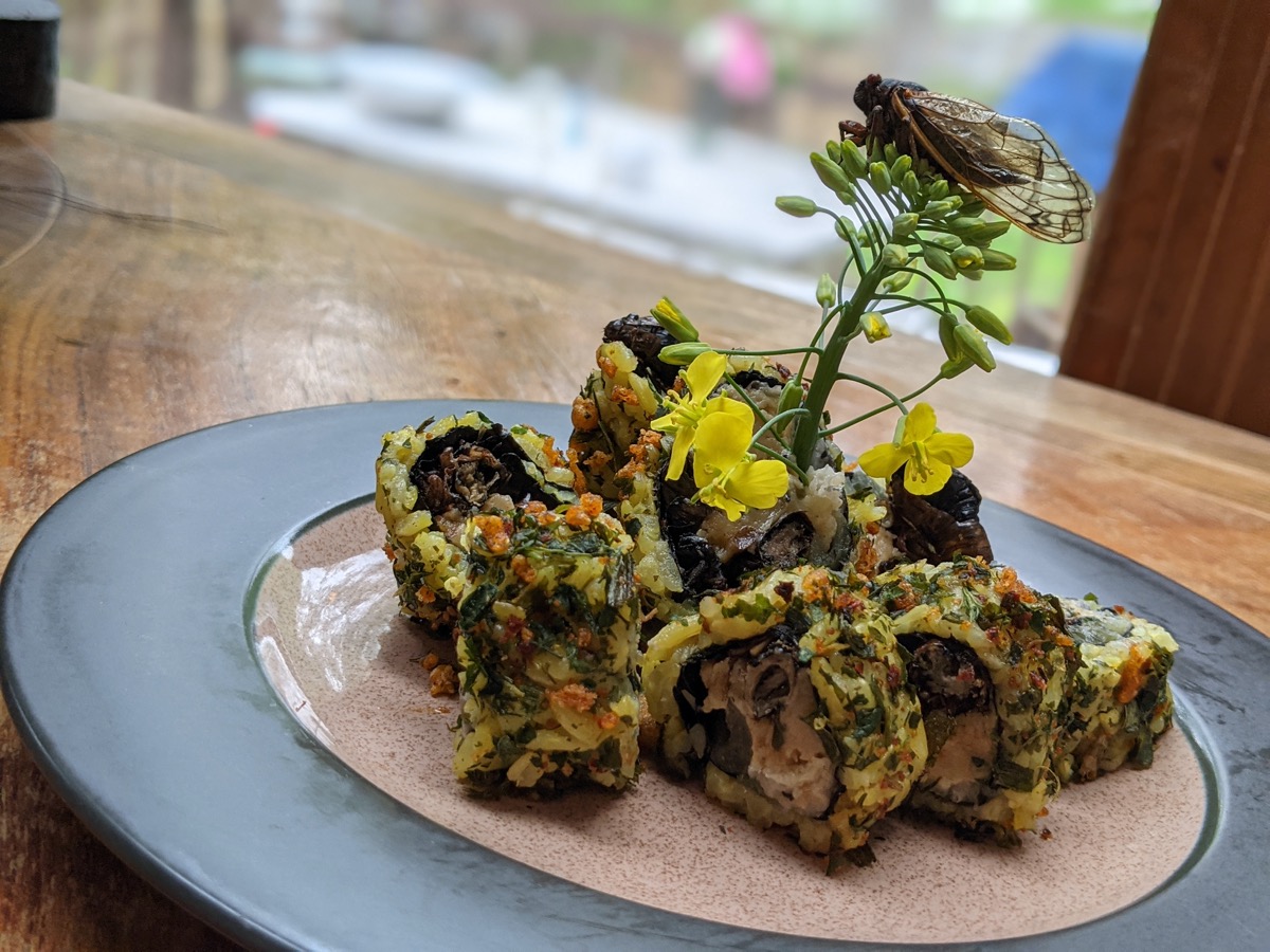 sushi rolls on a plate with a cicada sitting on a garnish in the middle