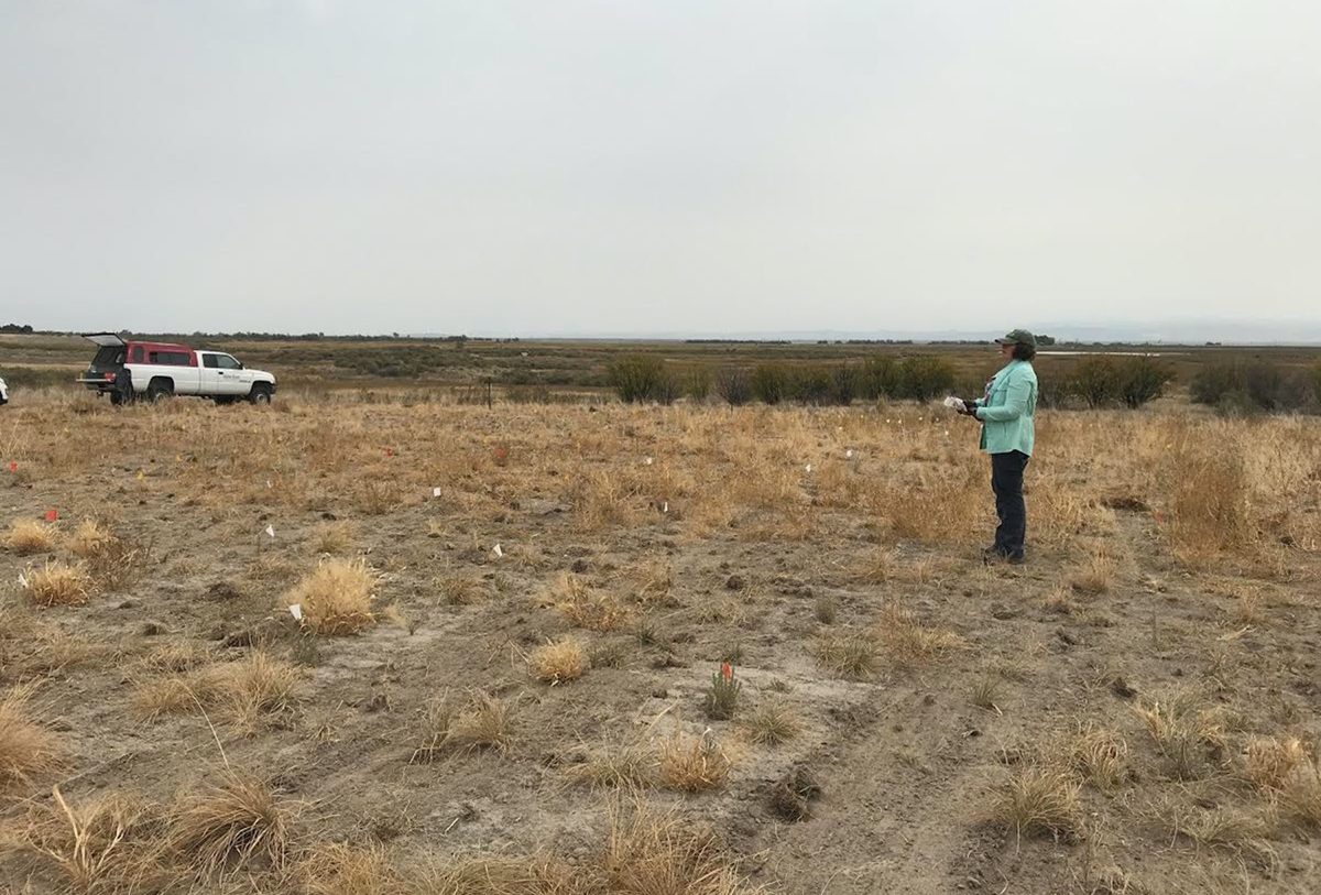 a woman in a light blue coat looks out a dry field with bunch grasses and non-native weeds. she is surveying the area. behind her is a white pick up truck