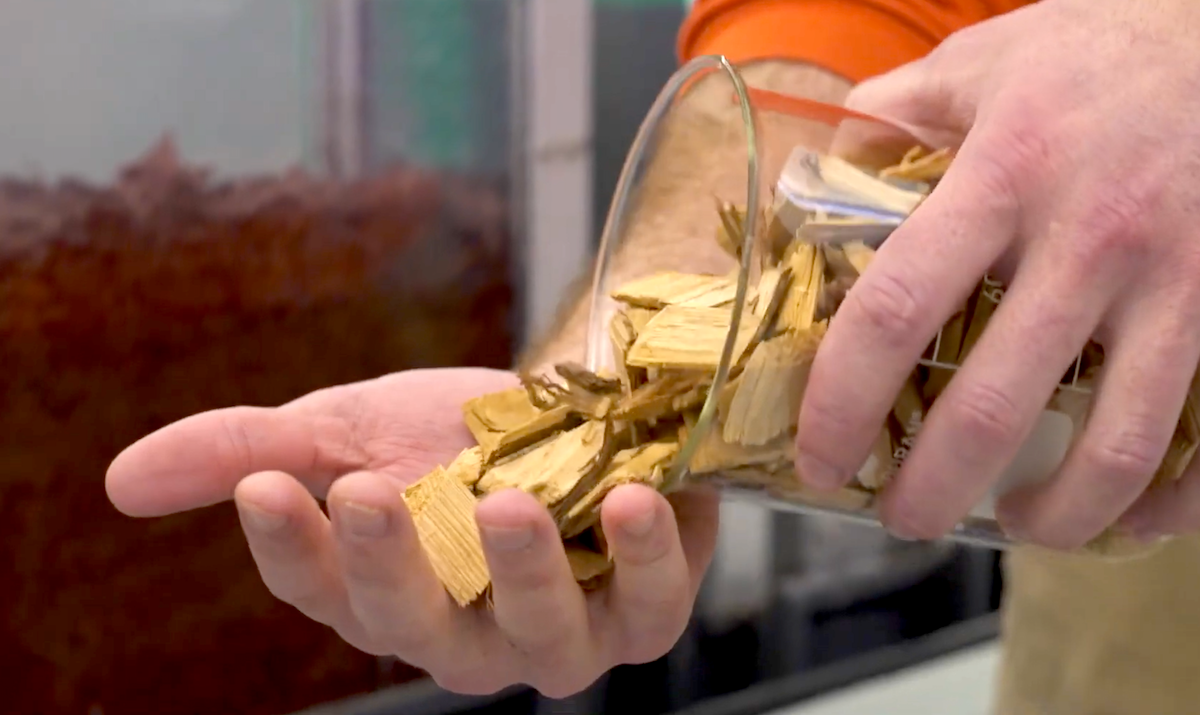 a person pouring our woodchips from a measuring glass