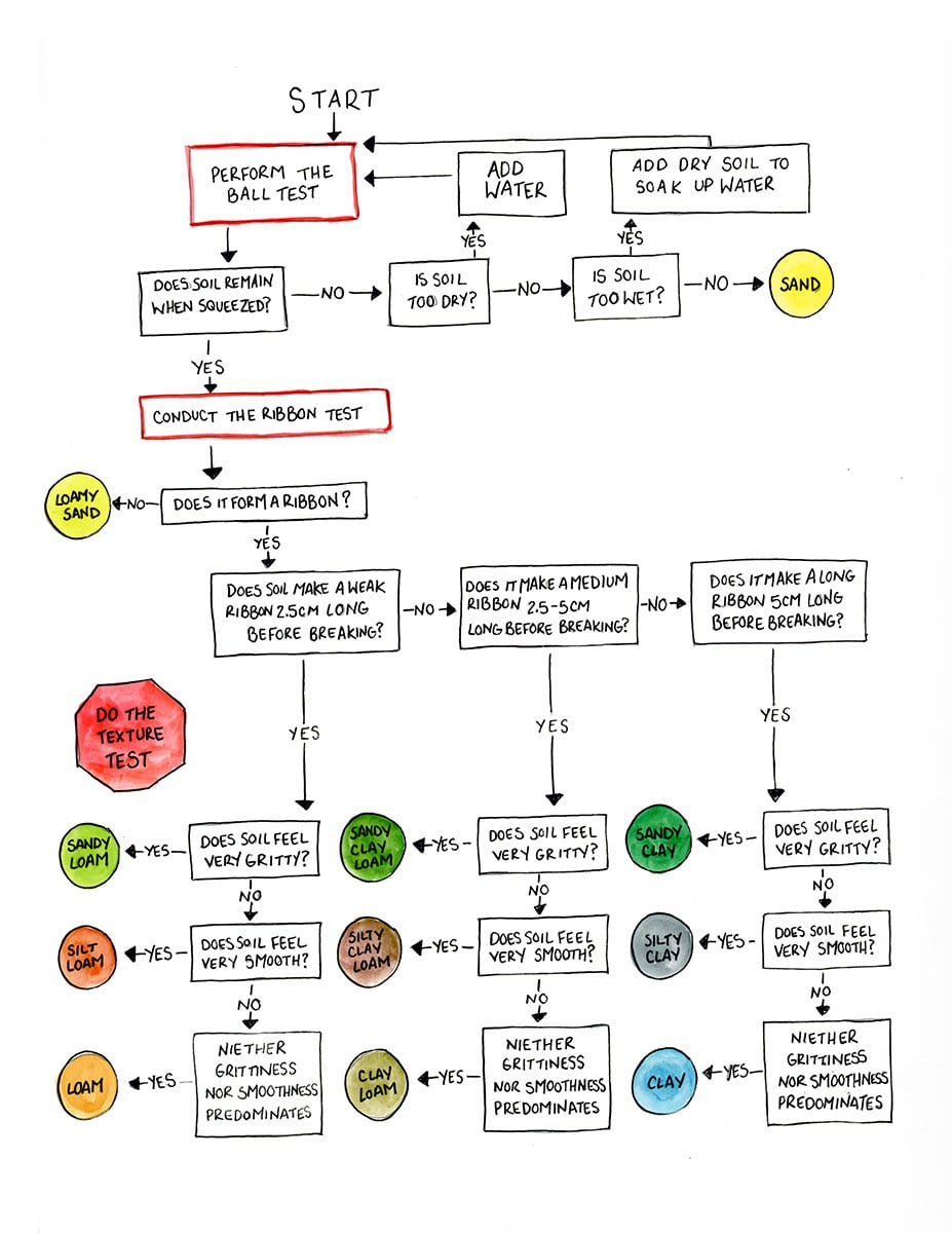 Diagrama de flujo para guiar a los participantes a través de la prueba de la pelota y la cinta.