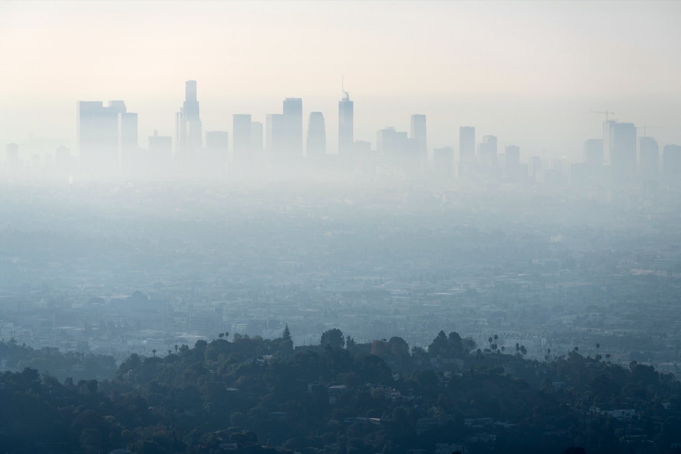 an arial view of downtown los angeles' skyscrapers, covered in haze and smog