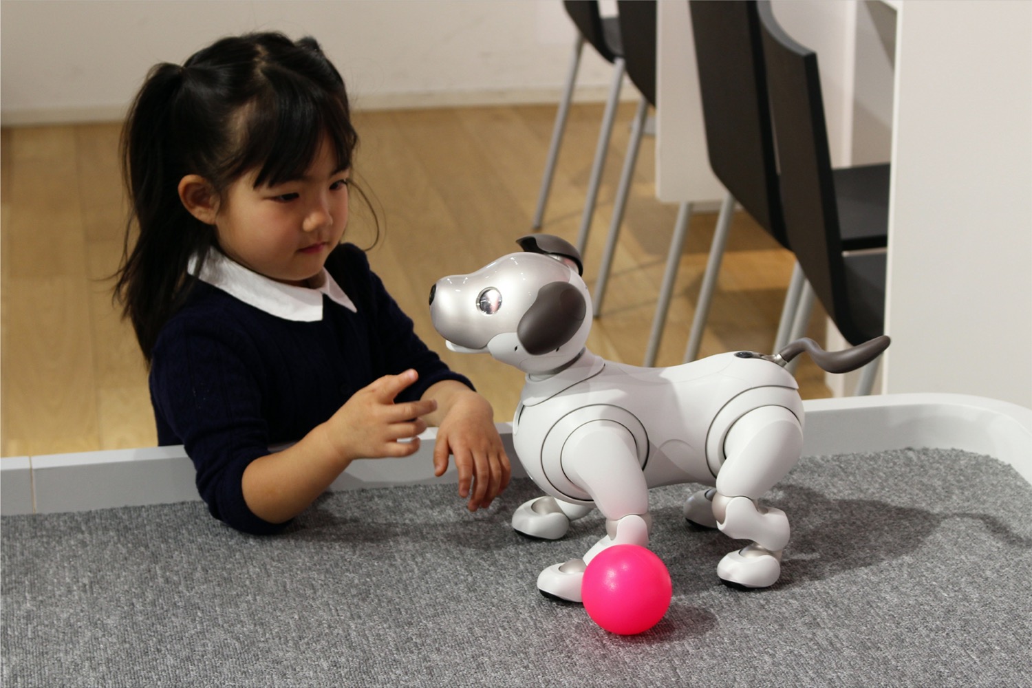 an asian girl plays with a robotic dog with a pink ball laying near them