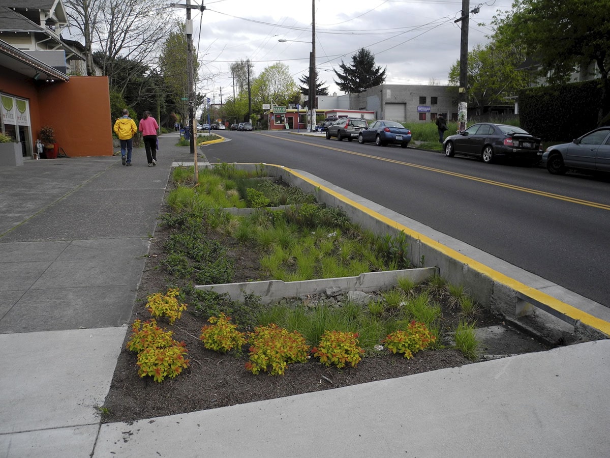 Bioswale on SE Division Street in Portland, Oregon