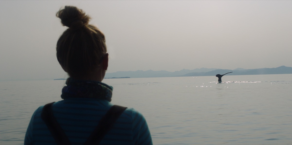 the back of a woman shadowed as she looks out across the ocean at a humpback whale's tale breaching the water