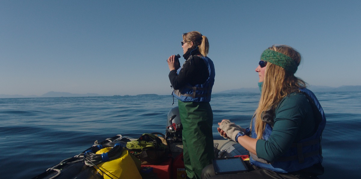 two women scientists on a boat holding binoculars looking out for whales on the sea