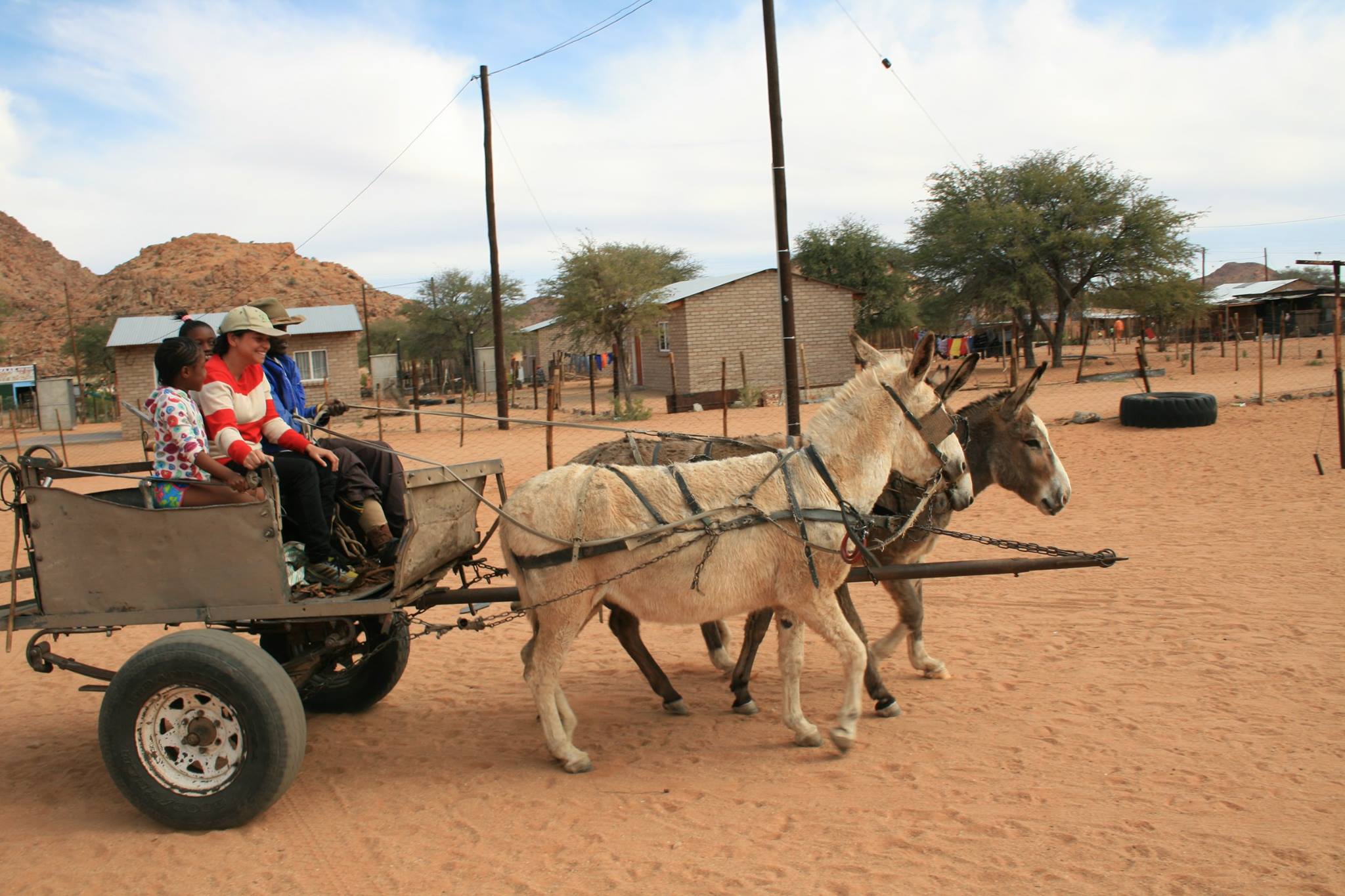 four people in a wagon pulled by donkeys in a dry, dusty town