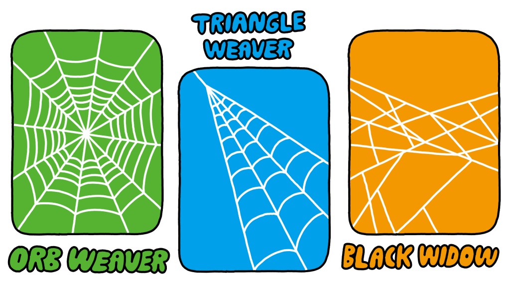 Spider web's secrets could lead to stronger glues