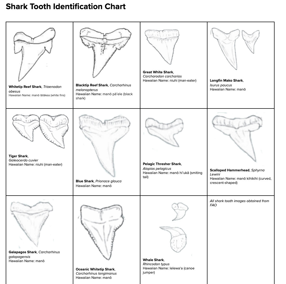 Shark Tooth Line Cutters