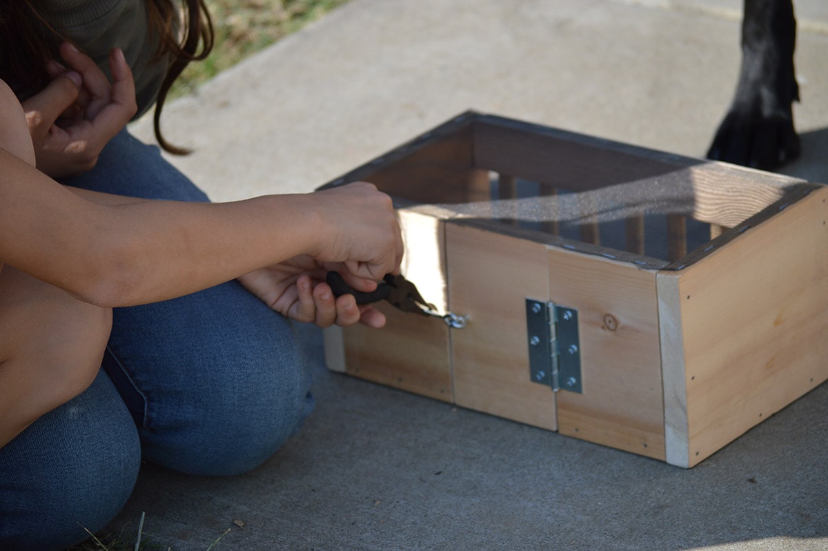 Person using pliers to test finished animal challenge box.