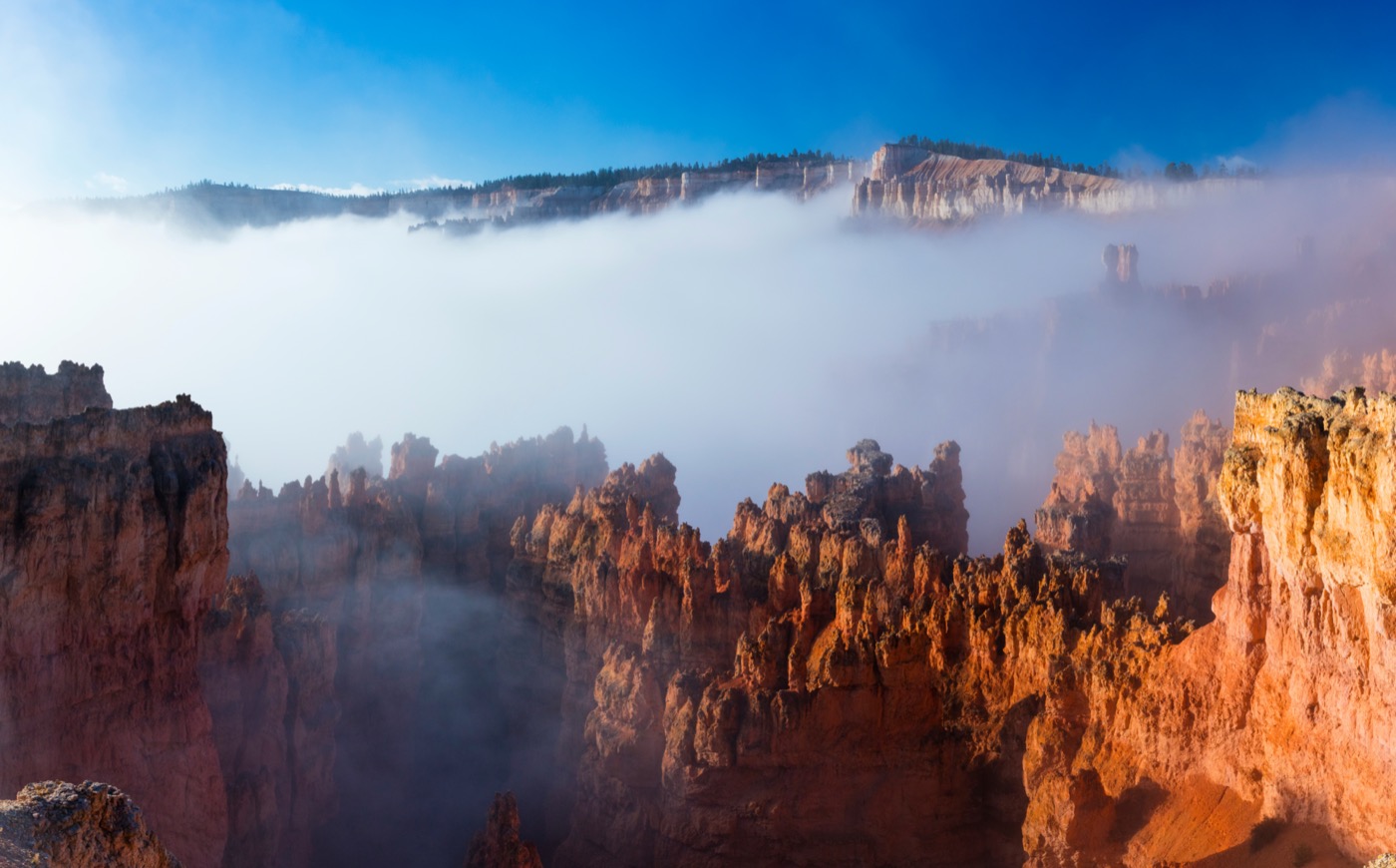 a layer of fog partially obscuring a majestic canyon