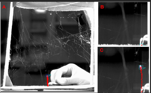three images from a scientific paper, measuring the movement of a web when touched