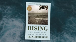 a book cover reads "Rising: Dispatches from the New American Shore" by Elizabeth Rush, with an image of a walkway overflowing with sea water and a city skyline faded into the background