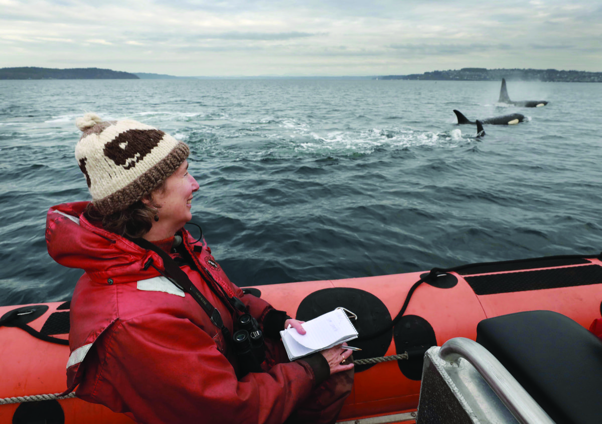 a woman in a beanie and red coat in a boat looks out at orcas swimming in the water