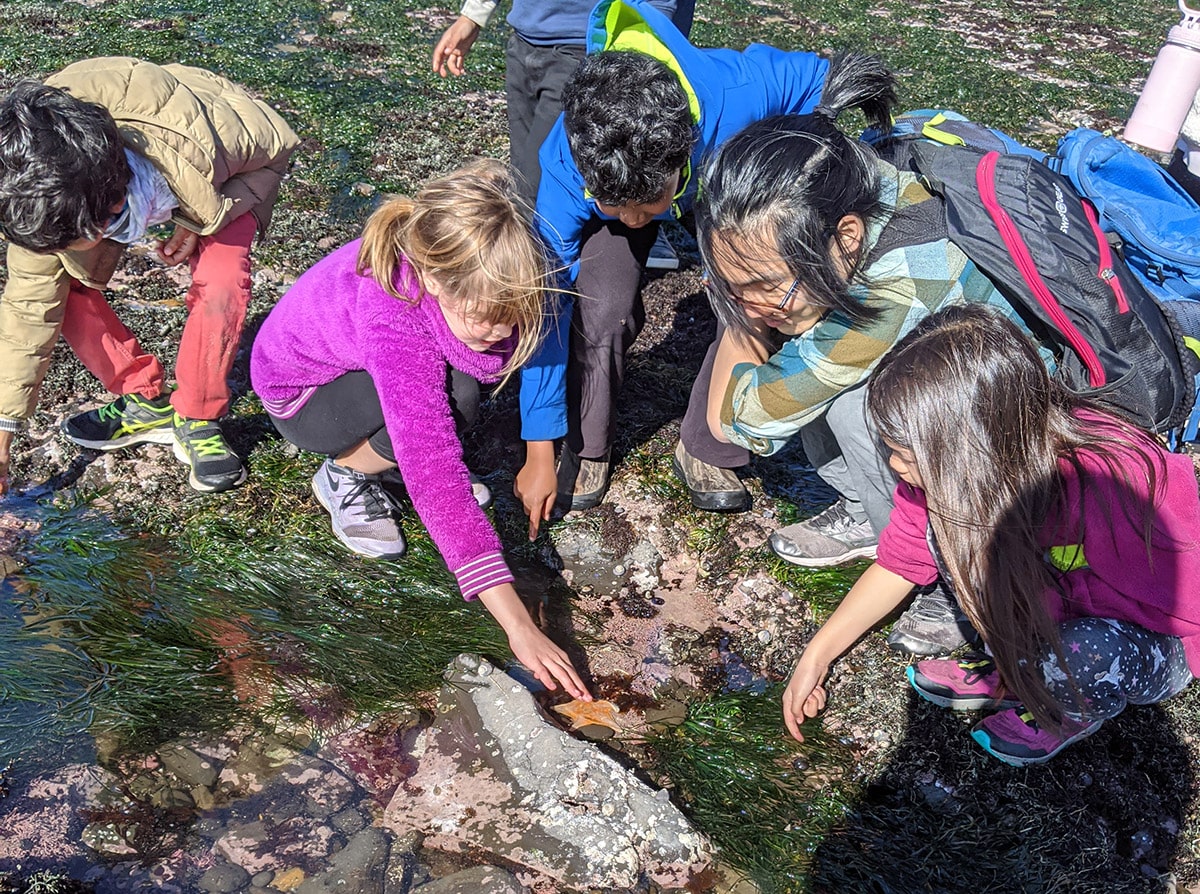 Educator Brandon Lee with a group of elementary students looking at the sea star in a tide pool.