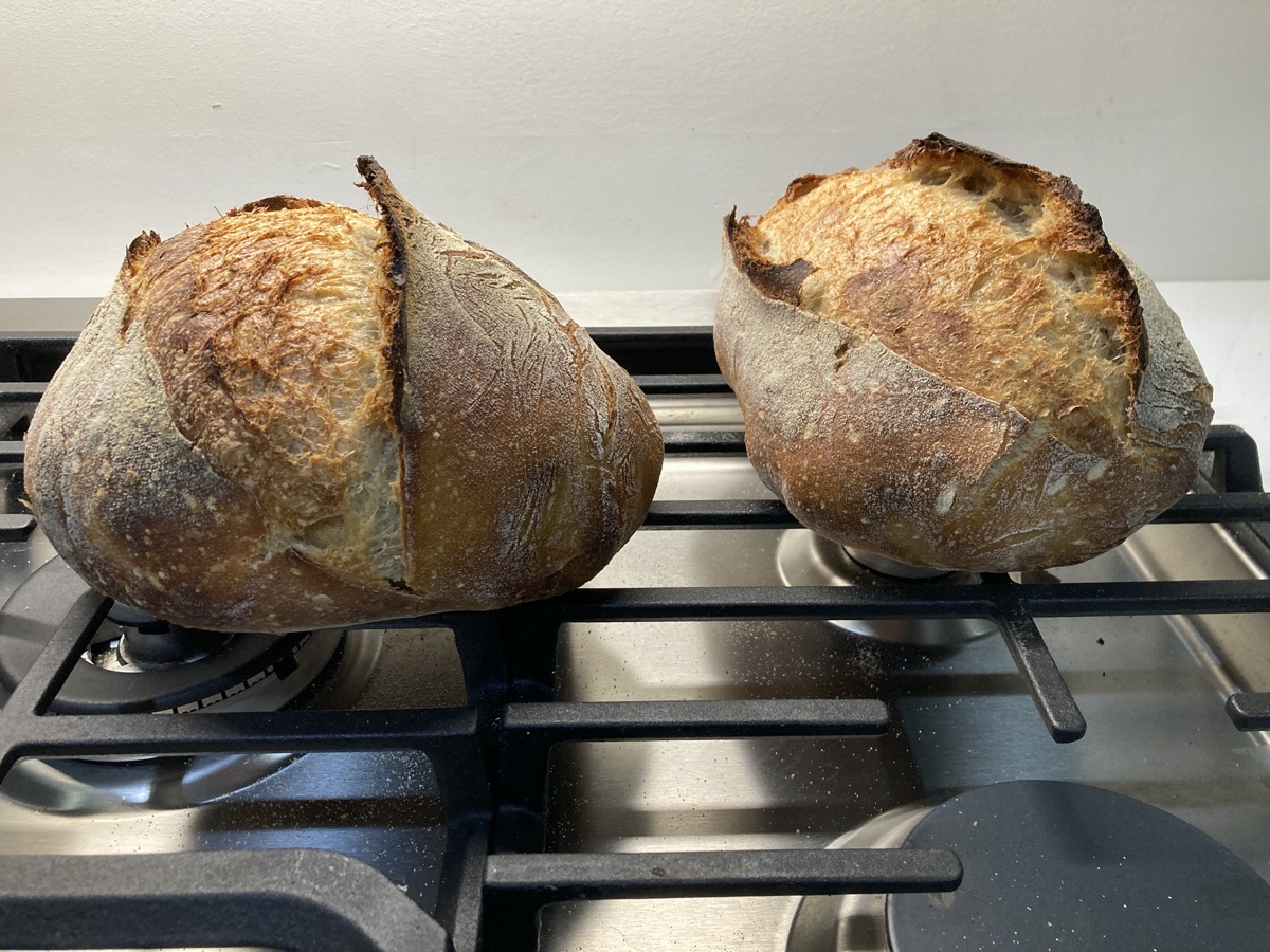 two loaves of sourdough bread with nice brown crust on a stove top