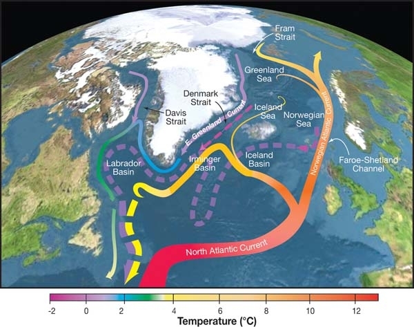 an illustrated map of the world showing parts of the northern hemisphere and the atlantic ocean. current lines indicating the north atlantic current is highlighted red at the bottom coming upwards along north america towards denmark and the UK before turning orange and yellow.