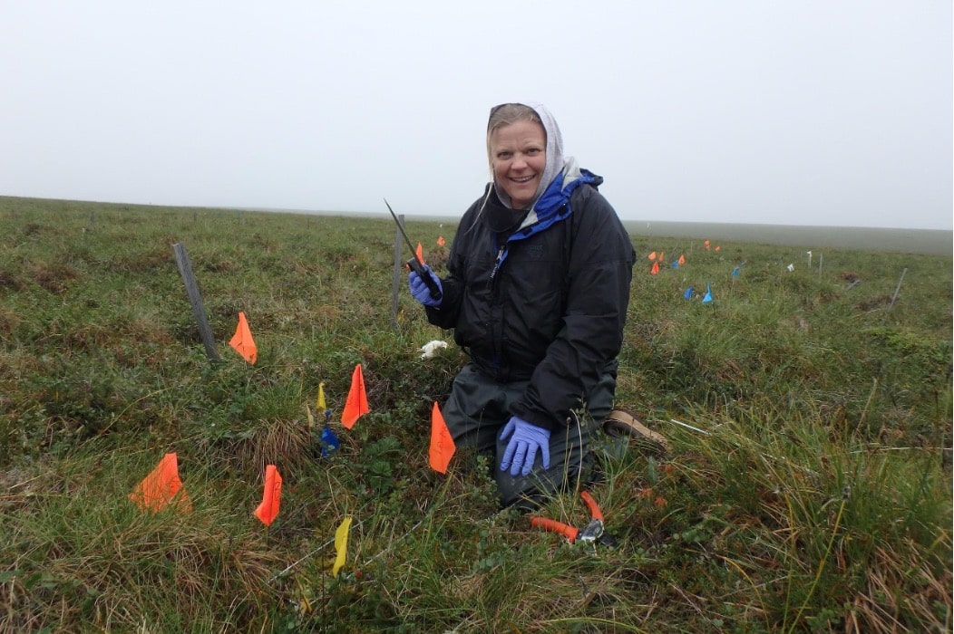 Educator Svea Anderson in the field with yellow flag markers