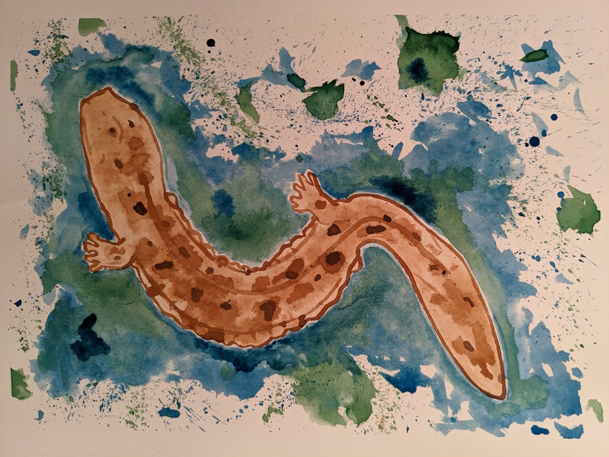 a watercolor illustration of a brown salamander backdropped in blues and greens