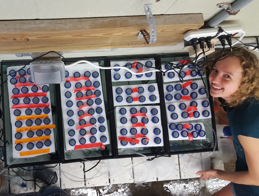 a woman leans over and smiles next to lap equipment imaged from above
