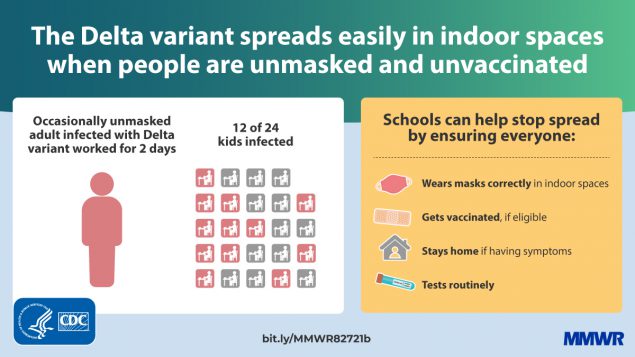 an infographic labeled how the delta variant spreads easily in indoor spaces when people are unmasked and unvaccinated. on the left in a white box is a symbol of an adult person in red with the words above "occasionally unmasked adult with delta variant for 2 days" on the right is a graphic of icons of students at desks with 12 of the 24 highlight red and above text written "12 of 24 kids infected". on the right is an orange box with the text reads "schools can help stop spread by ensuring everyone: wears masks correctly in indoor spaces, gets vaccinated if eligible, stays home if having symptoms, tests routinely." 