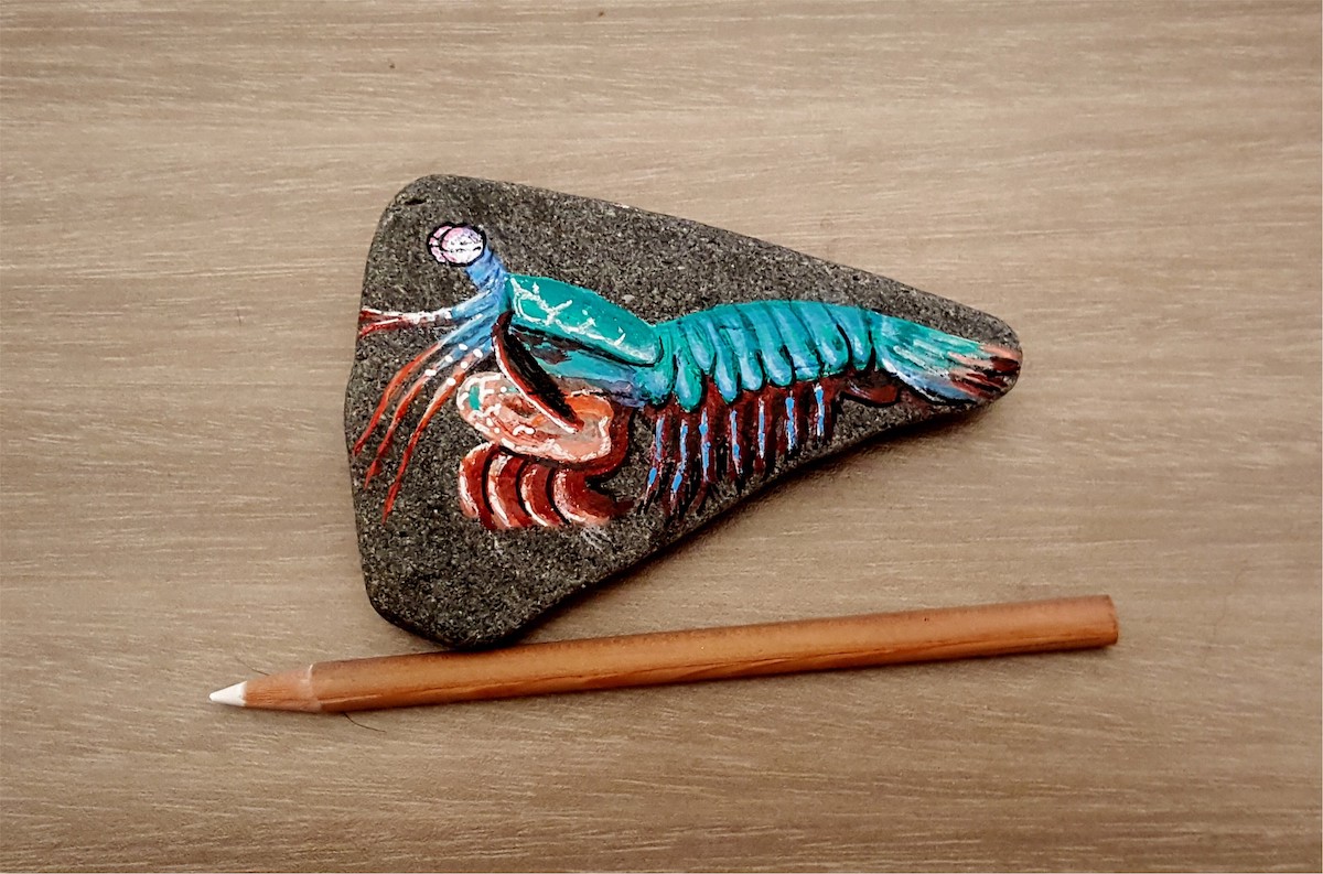 colorful blue mantis shrimp painted on a rock that is about the length of a pencil