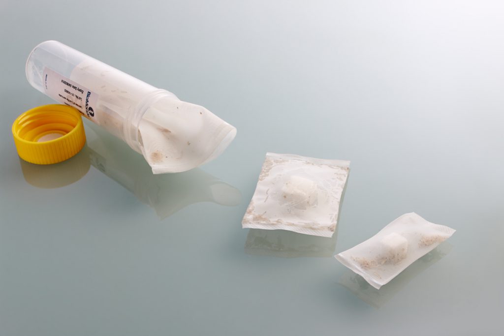 a vial of maggots in a cloth bag. the bag has a piece of foam in it and the bag is a square pouch about an inch and a half long and wide