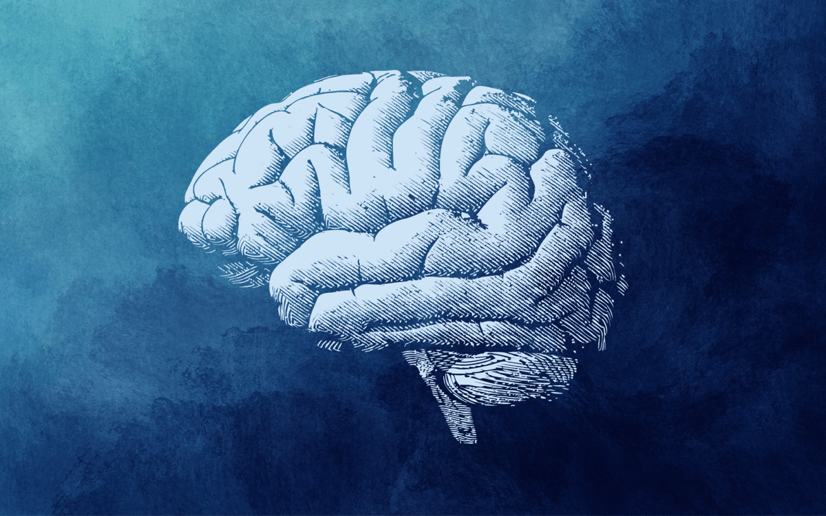 a graphic of a white brain on a blue watercolor background