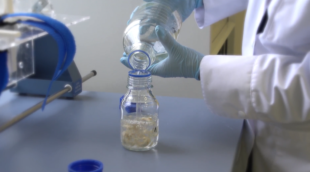 a scientist in a lab coat and gloves pours a clear liquid into a bottle of larvae