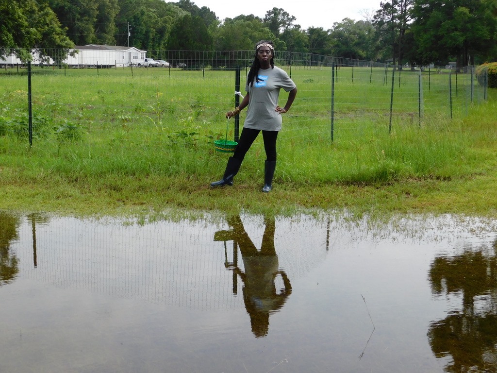 a black woman in a gray shirt and holding a basket stands in a grassy field with a large shallow puddle in front of her, showing her relfection
