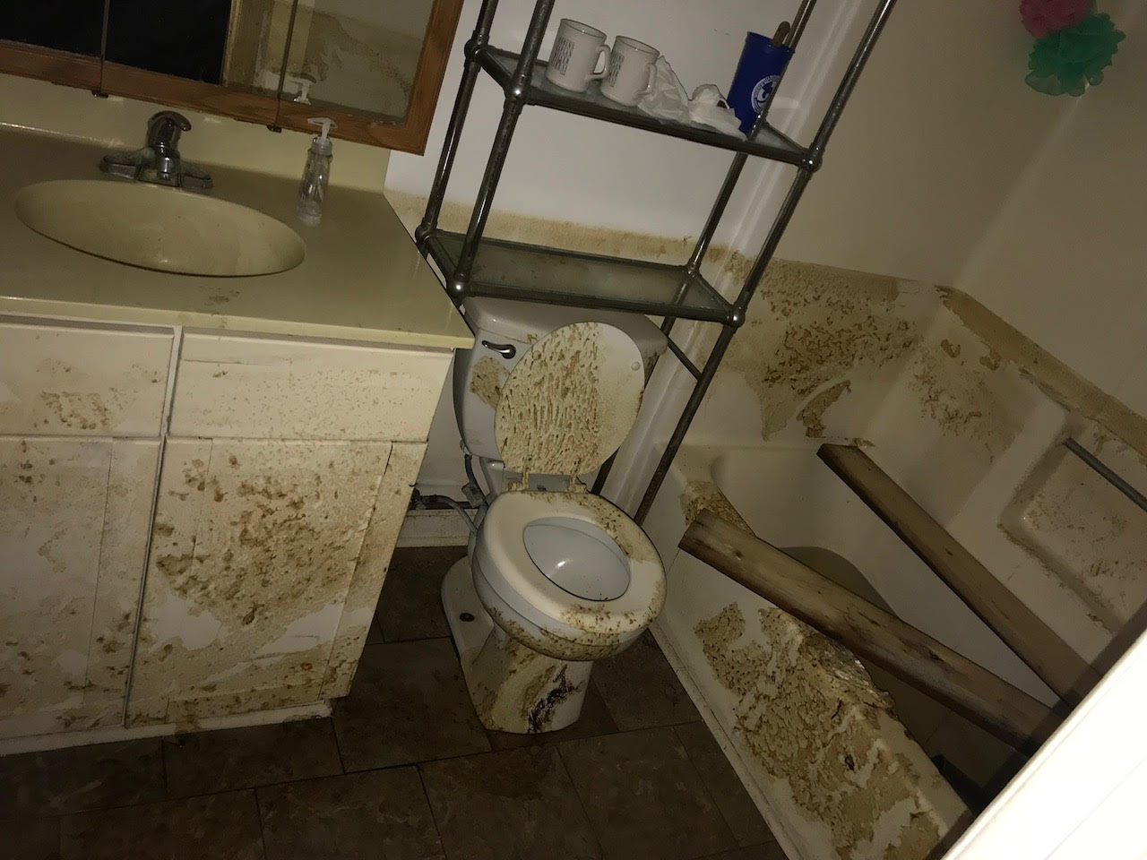 a bathroom ruined by a flood. the toilet, sink, and shower and completely covered in brown sludge and dirt