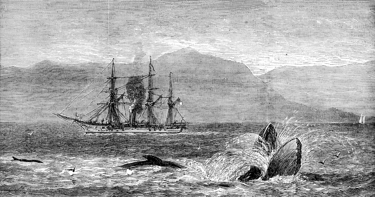 Loch Ness monster search party uses new tools to look for an old cryptid