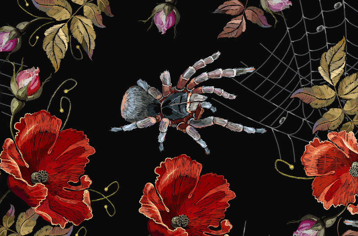 an illustration of a spider surrounded by different types of flowers