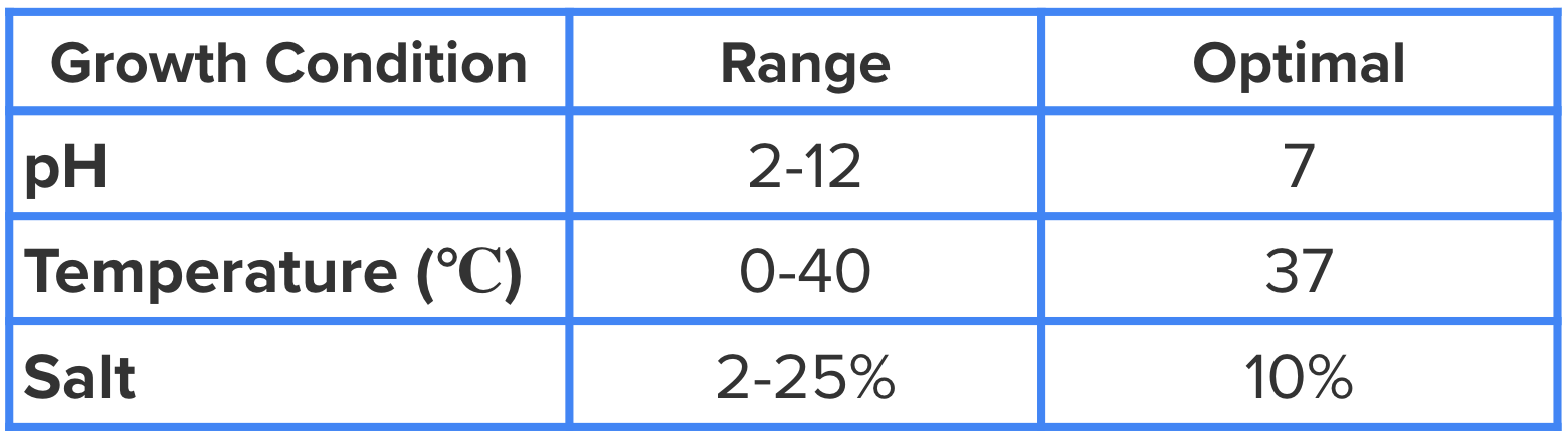 Different growth parameters for E. coli K12, also on worksheet