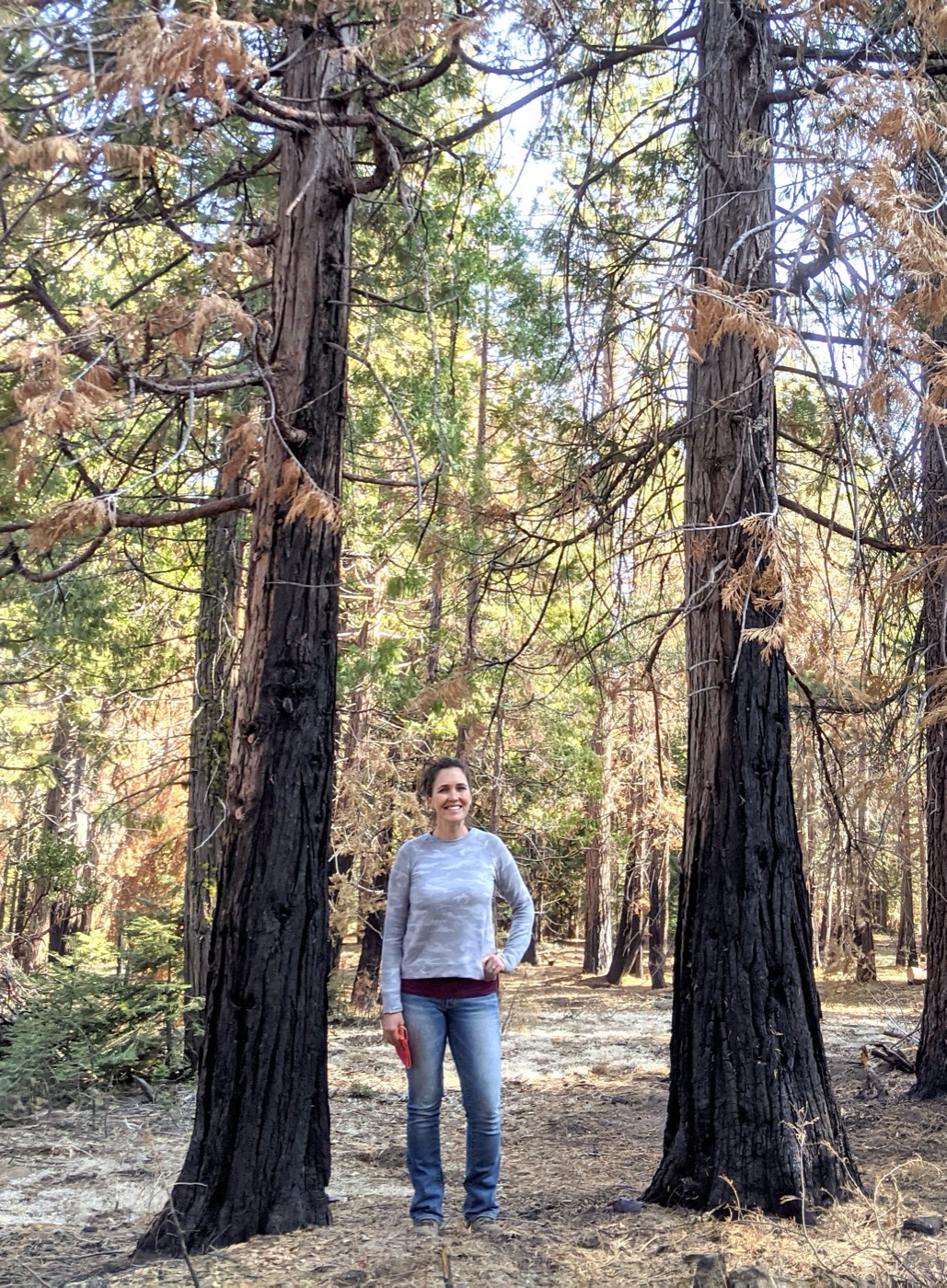 a white woman stands between two tall trees in a forest, smiling at the camera