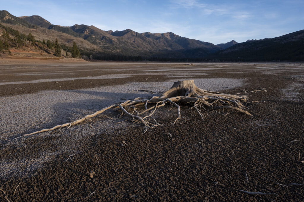 a landscape shot of a completely dry and barren river bed, with a descated, stumped tree in the center. there are mountains in the background