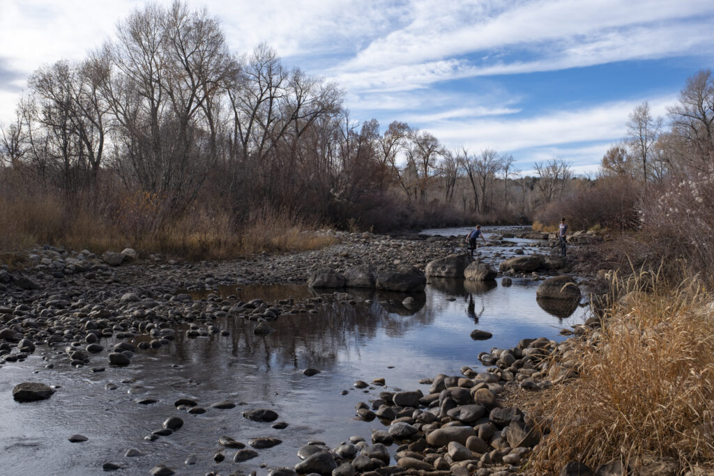 a creek that has very low water, with many small and large rocks exposed on its riverbed