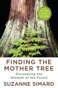 a book cover of a tree that says "finding the mother tree: Discovering the Wisdom of the Forest by Suzanne Simard"