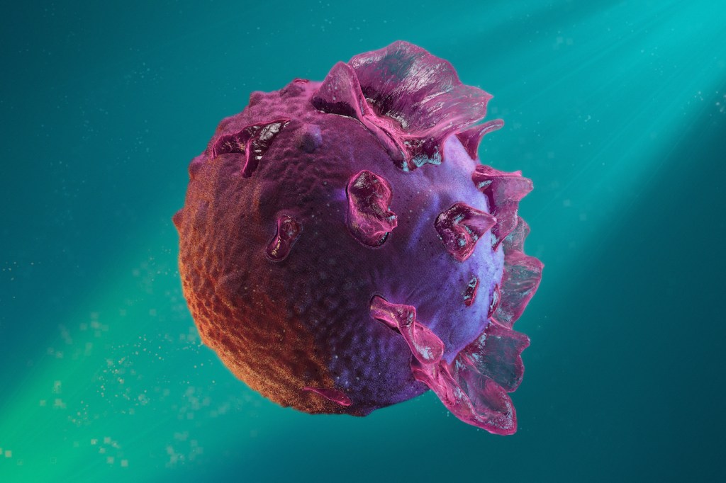 Illustration of Epstein-Barr virus.