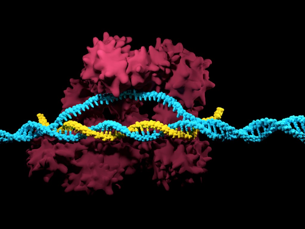 Illustration of gene editing.
