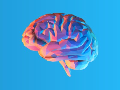 Colorful low poly side view brain illustration isolated on blue background