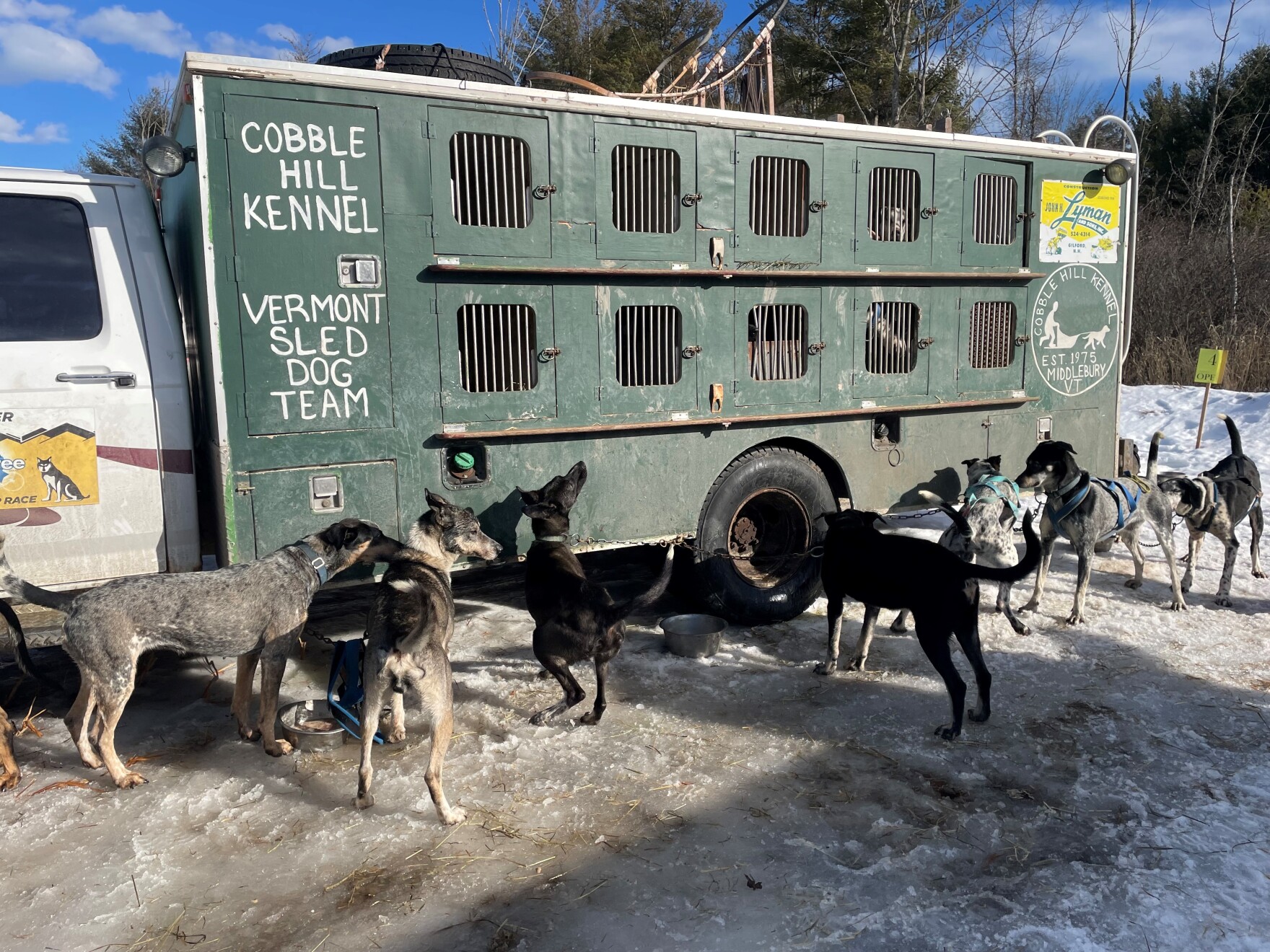 seven dogs huddled next to a mobile kennel attached to a pickup truck. it says 'cobble hill kennel, vermont sled dog team'