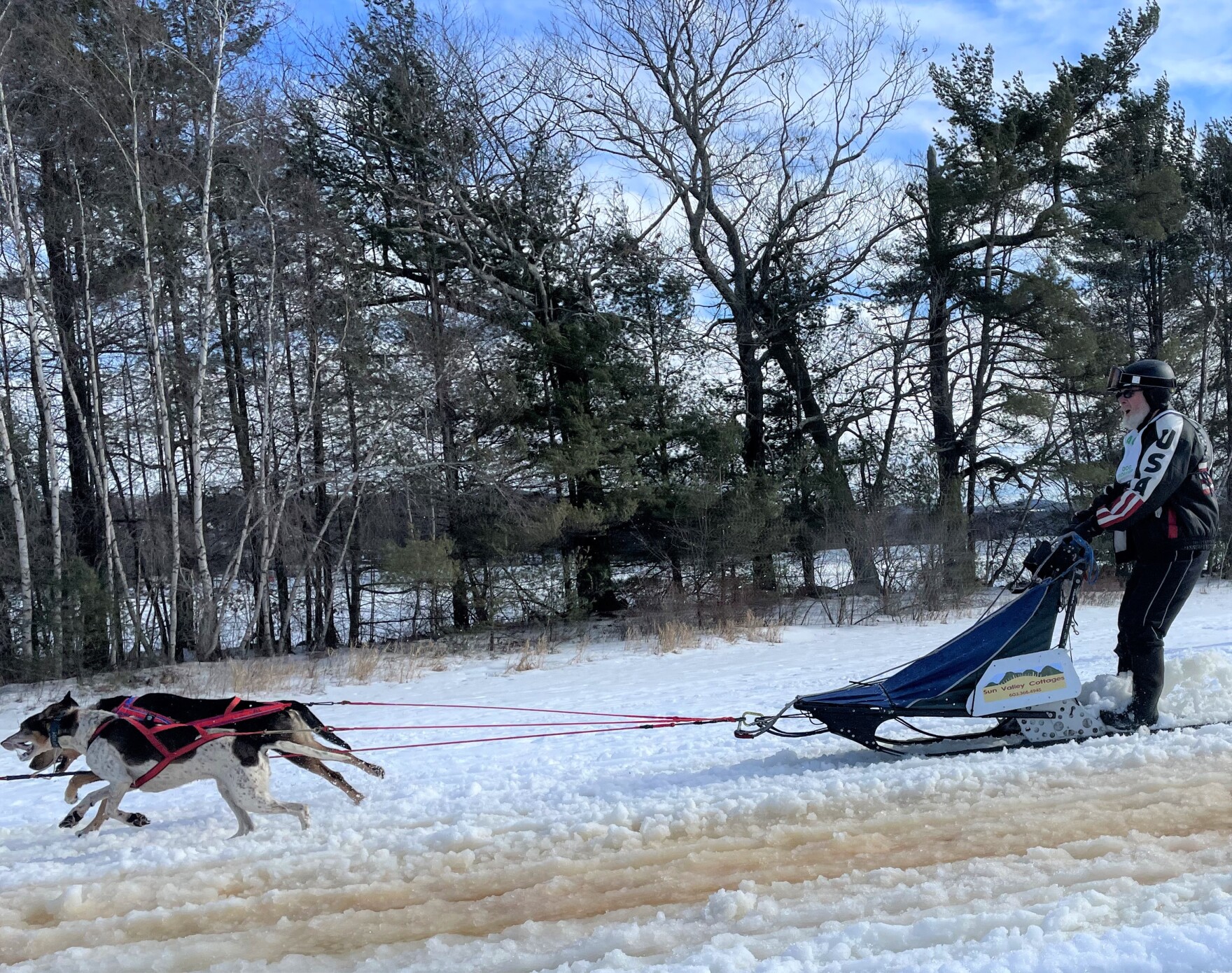 two dogs pulling a human in in a sled in slushy snow