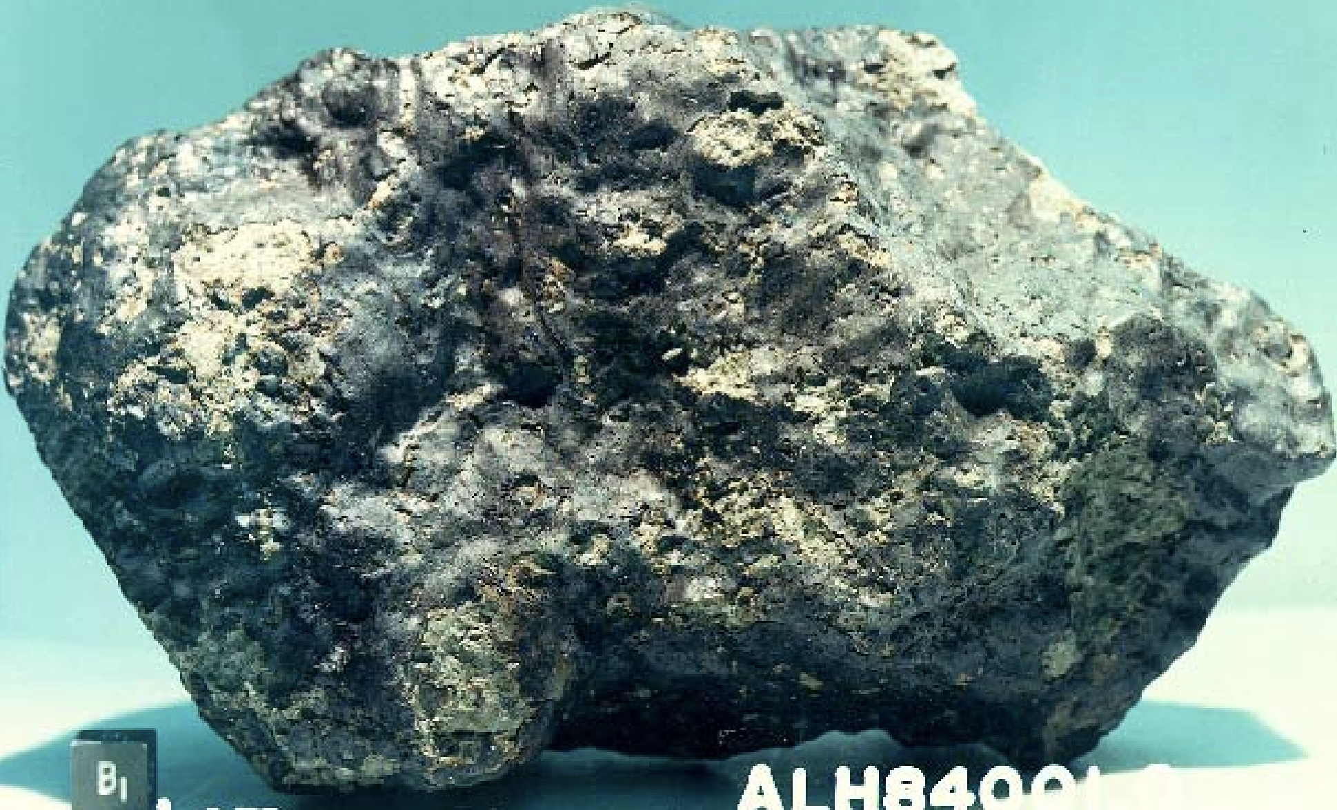 a porous meteorite that's mostly dark grey, but has some tiny shiny spots